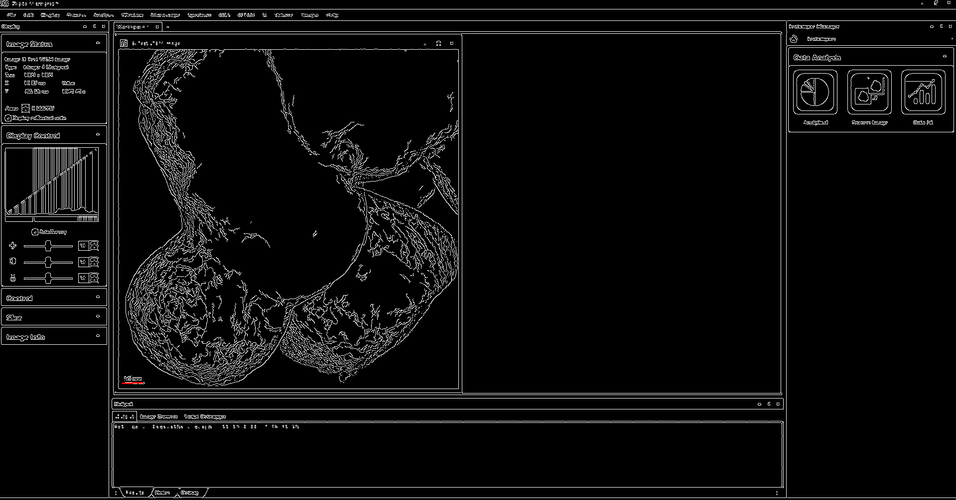 Calibrate and put a scale bar, and draw a fixed line segment on an image