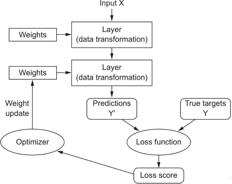 Optimizer to adjust the model's parameters to minimize a specified loss or error function