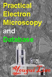 Practical Electron Microscopy and Database